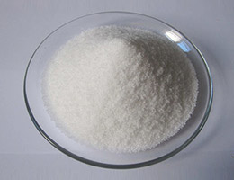 Premature Ejaculation